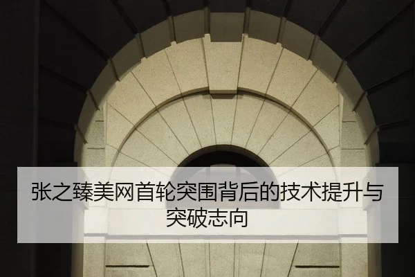 张之臻美网首轮突围背后的技术提升与突破志向